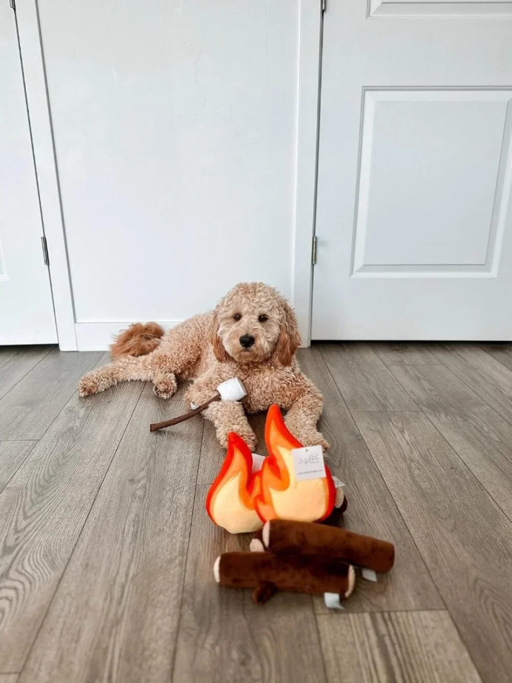 Durable Campfire Dog Toy - Squeaky Plush for Interactive Play & Fetch Fun